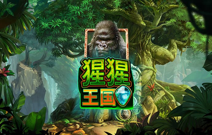 博乐体育app